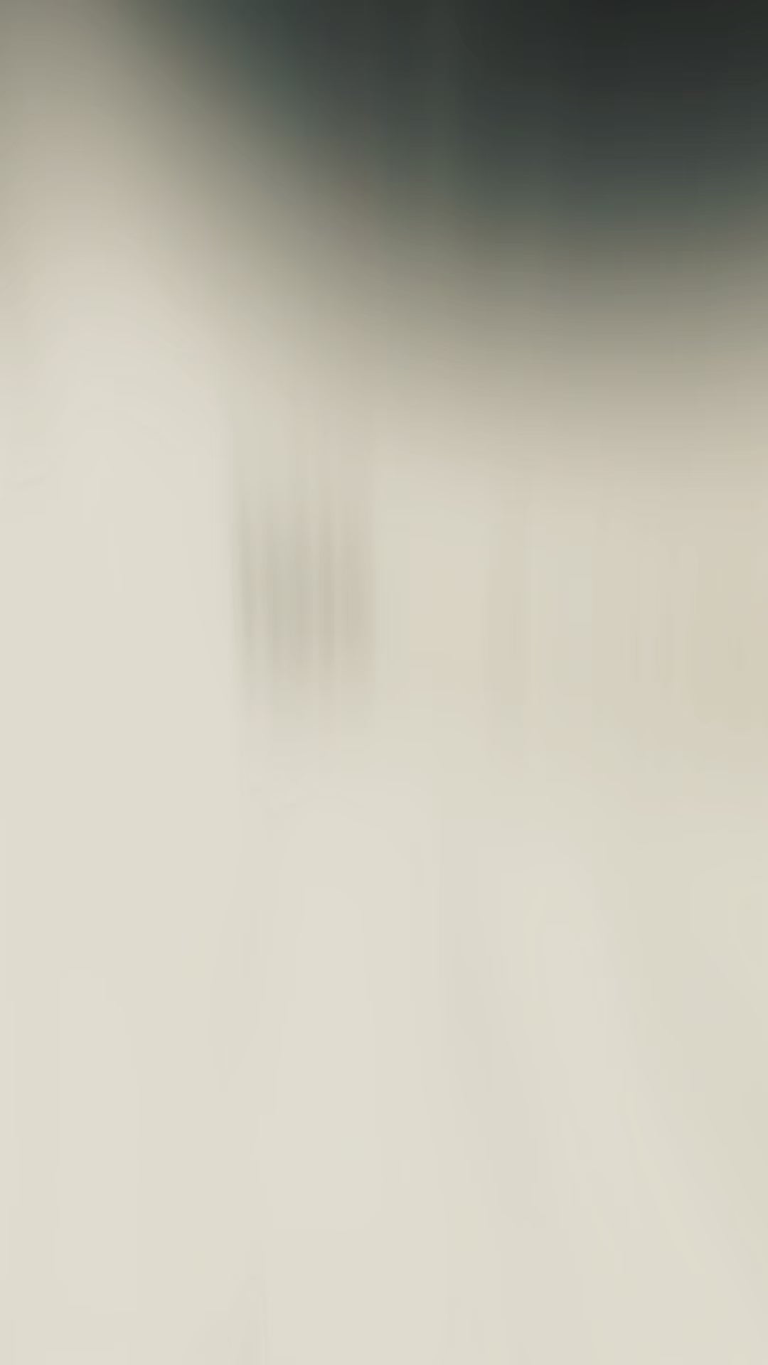 Playera Personalizable blanca Marca Lion Clothes Alta Calidad